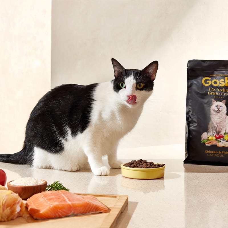 Exclusive Grain Free Cat Adult Chicken with Fish